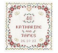 Lifetime Samplers & Decorative Textiles Heart Ruby Anniversary Sampler for a 40th Wedding Anniversary - Complete Cross Stitch kit on 14 aida