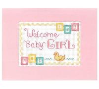 Lifetime Samplers & Decorative Textiles Pink New Baby Card kit - Complete Mini Cross Stitch kit on 16 Ivory aida