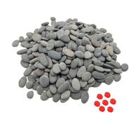 Lifetop 3LB Tiny Painting Rocks DIY Rocks for Painting Detail-Painting Smooth Surface Stones,Arts,Crafts Garden,About 350-400PCS 0.5 to 1.0 inches ,Hand Picked for Painting Rocks