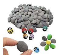 Lifetop 50pcs Mini Painting Rocks DIY Rocks for Painting Kindness Rocks Smooth Surface Stones,Arts and Crafts ,0.5 to 1.0 inches ,Hand Picked for Painting Rocks ...