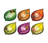 Lifeway Kids VBS 2025 Magnified! Floor Prints