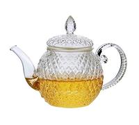 Lifeyz 250ml (8.6oz) One Cup of Tea Clear Small Glass Teapot Stainless Steel Wire Strainer Lid Heat Resistant Tea pot For Tea (500ml)