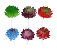 LIFKICH 6pcs Artificial Succulent Plants Set with Natural Look Lifelike Desktop Ornaments for Home Office Cafe Decoration and Exhibition Hall Random Random Color