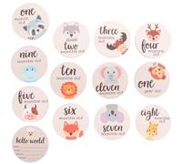 LIFKICH Monthly Milestone Blocks Wooden round Photo Props Assorted Colour Record Milestones for New Mother Shower