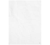 LIFKICH Multi-Function Sticky Mat for Warehouse and Laboratory Use, Dust-Removing Floor Pad Anti-Static Properties, White Adhesive Sheet 45X60Cm for Daily Use