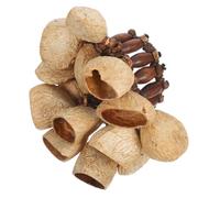 LIFKOME African Nut Shell Handbell Bracelet Tribal Percussion Wristband for Dance Yoga Festival Party Authentic Hand Drum Tambourine with Natural Shaker Sound