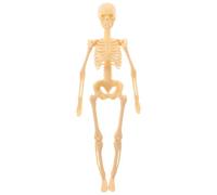 LIFKOME Anatomical Skeleton Model Full Body DIY Assembly Educational Human Skeleton for Science Teaching and Learning Plastic Construction Suitable for Students and Beginners