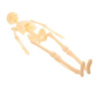 LIFKOME Anatomy Skeleton Model Human Skeleton Figure Educational Action Figure Lightweight Plastic Body Parts Teaching Aid for Students and Office Decor