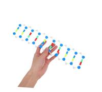 LIFKOME Dna Double Helix Model Kit for Science Education Realistic Genetics Teaching Tool for Biology Classes Molecular Structure Demonstration for School and Laboratory Use