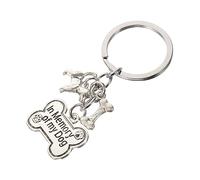 LIFKOME Dog Memorial Keychain Cute Metal Keychain for Lightweight Commemorative Pendant for Keys Bags and Backpacks for Remembering Lost Dog Pet