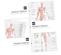 LIFKOME Human Anatomy Poster Skeletal Muscle Teaching Picture Font Educational Chart for School Laboratory Classroom Silk Cloth Print