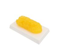 LIFKOME Human Fat Anatomical Model Demonstration Device for Fitness Training Education Realistic Yellow Design for Nutritionists Diet Motivation