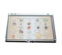 LIFKOME Natural Irregular Mineral Stones Types Polished Rock Specimens for Desktop Decor Learning Collection Gemstones Crystal Ornaments for Home Office