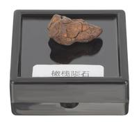 LIFKOME Natural Olivine Meteorite Sample 2-3cm - Real Lithosiderite Specimen for Science Education and Classroom Meteorite Decor
