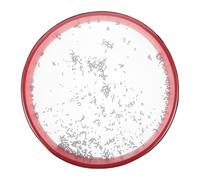 LIFKOME Ocean Drum for Wave Beaded Percussion Instrument Lightweight Music Education with Gentle Sea Sound for Early Learning and Outdoor Events