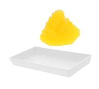 LIFKOME Realistic Human Fat Fat Model Display for Fitness Education Anatomy Model