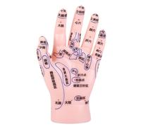LIFKOME Reflexology Hand Model for Tcm Education Hand Zone Acupuncture and Massage Simulation Model for Therapy Practice