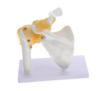 LIFKOME Shoulder Joint Model with Ligament Lightweight PVC Human Skeleton Model for Medical Teaching Educational Anatomy Supply for Schools and Hospitals