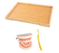 LIFKOME Teeth Brushing Educational Model Set with Removable Teeth and Bamboo Tray for Preschool Oral Hygiene Training