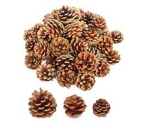 Lifreer 30 Pieces Natural Dried Pine Cones Christmas Ornaments PineCones for Christmas Tree Party Hanging Decoration DIY Crafts- Brown, 3 Sizes