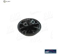 AIC 55981 Jack Support Plate