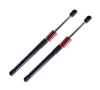 Lift Supports 2X Front/Rear Car Trunk Engine Tail Gate Tailgate Boot Gas Spring Shock Lift Struts Support For Tesla For Model 3 2017-2019 Gas Lift Strut(Front and Rear)