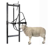 Liftable Sheep Head Holder, Livestock Sheep Stand Head Fixture, Goat Stand Sheep Catching Bracket Shearing Stand with Adjustable Height, Livestock Accessories for Farm Household
