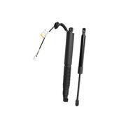 Liftgate Power Hatch Shock Strut For Model 3 2021-2023 2pcs Rear Left Right Electric Liftgate Trunk Strut 1551488-99-B 1551489-00-B 1091560-00-B