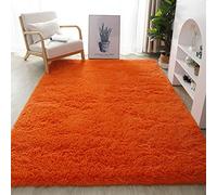 Lifup Soft Fluffy Rectangle Area Rug, Cozy Plush Shaggy Carpet for Living Room Bedroom Home Décor Orange 2.6 x 6.6 Feet