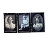 Ligeinsrk Halloween Decorations 3D Changing Face Moving Picture Frame Creepy Portraits Pictures Indoor Halloween Horror Party Spooky Home Decor 1