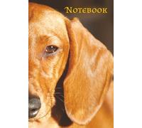 Light and Shadow Dachshund Notebook: Artistic Red Dachshund Portrait in Light and Shadow | Writing Notebook for Dachshund Lovers | 6 x 9 Inches, 120 college ruled pages