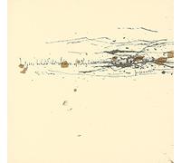 LIGHT BEHIND THE NOISE OF NIGHT