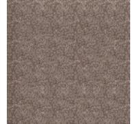Light Beige Plain 4.00M Wide Stainresistant Carpet, Heavy Duty Modern Carpet For Home (Multiroom Use)-3M(9'9") X 4M(13'1")-12M²