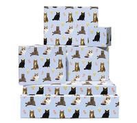 Light Blue Cat Wrapping Paper - 6 Sheets Giftwraps Party Cats & Flowers Birthday Gift Wrap - For Cat Lovers, Kitty Kitten Animal Funny - Christmas Gatherings, Pet Parties - Recyclable - By Central 23