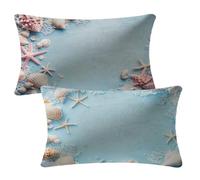 Light Blue Cushion Covers 40 x 60 cm Sofa Cushions Set of 2 Outdoor Cushions Shell Velvet Cushion Covers with Invisible Zipper Decorative Pillows for Garden Patio Bench Balcony Bed Autumn Decor 2m-451