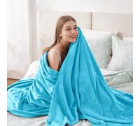 (LIGHT BLUE, DOUBLE) Warm Soft Large Blanket Mink Faux Fur Fleece Throw