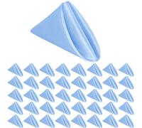 Light Blue Napkins 40 Pcs Satin Cloth Napkins Square 20" Soft Smooth Fabric Table Napkins Washable Cloth Napkins for Weddings Parties Holiday Dinner (Light Blue)