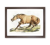 Light Brown Horse By Henry Alken Vintage Framed Print | A2 Walnut Framed Wall Art | Ready to Hang | Classic Animal Picture | Living Room Bedroom Lounge Office
