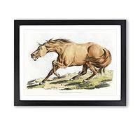 Light Brown Horse By Henry Alken Vintage Framed Print | A3 Black Framed Wall Art | Ready to Hang | Classic Animal Picture | Living Room Bedroom Lounge Office