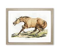 Light Brown Horse By Henry Alken Vintage Framed Print | A3 Oak Framed Wall Art | Ready to Hang | Classic Animal Picture | Living Room Bedroom Lounge Office