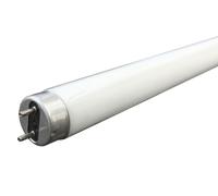 Light Bulb 36w T8 Triphosphor Tube In White 3500K 1199mm Excluding Pins Sylvania