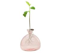 Light Bulb Avocado Vase Glass Acorn Vase for Flowers, Rearing Glass for Avocados and Chestnuts, Terrarium Jar Planter with Wooden Shelf Stand Holder for Greenwater Plants Fit for Home Kitchen Table