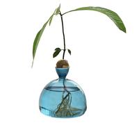 Light Bulb Avocado Vase Glass Acorn Vase for Flowers, Rearing Glass for Avocados and Chestnuts, Terrarium Jar Planter with Wooden Shelf Stand Holder for Greenwater Plants Fit for Home Kitchen Table