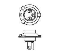 Light bulb BOSCH 1 987 301 010 for ISUZU KB 2 1983-1988
