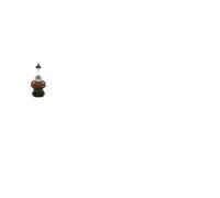 Light bulb BOSCH 1 987 301 340