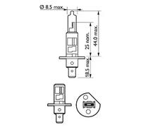 Light bulb P14.5s H1 12258VPB1 PHILIPS for OPEL FORD RENAULT KIA