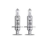 Halogen Bulb - H1 12V 55W - (448) P14.5s