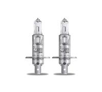Halogen Bulb - H1 12V 55W - (448) P14.5s