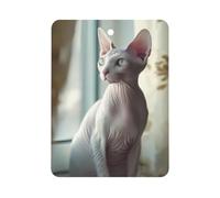 Light-colored Sphynx Cat Automotive Air Fresheners Square