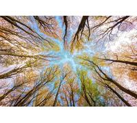 Light filtering through the leaves-300-Piece Puzzle Friends Intellectual Gifts, Leisure, Entertainment, Party Decorations 14 years+